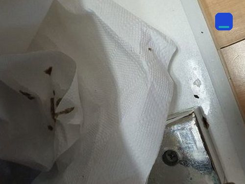 부산 · 상담 후 방문 작업 고객 글 사진